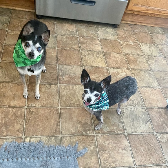 Meet Stephanie! - Picture 3 of 5